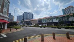 Tanjong Pagar Conservation Area (D2), Shop House #534718921